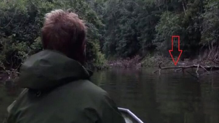Išiel na ryby do Amazónie, ale ani nečakal, že chytí také monštrum!